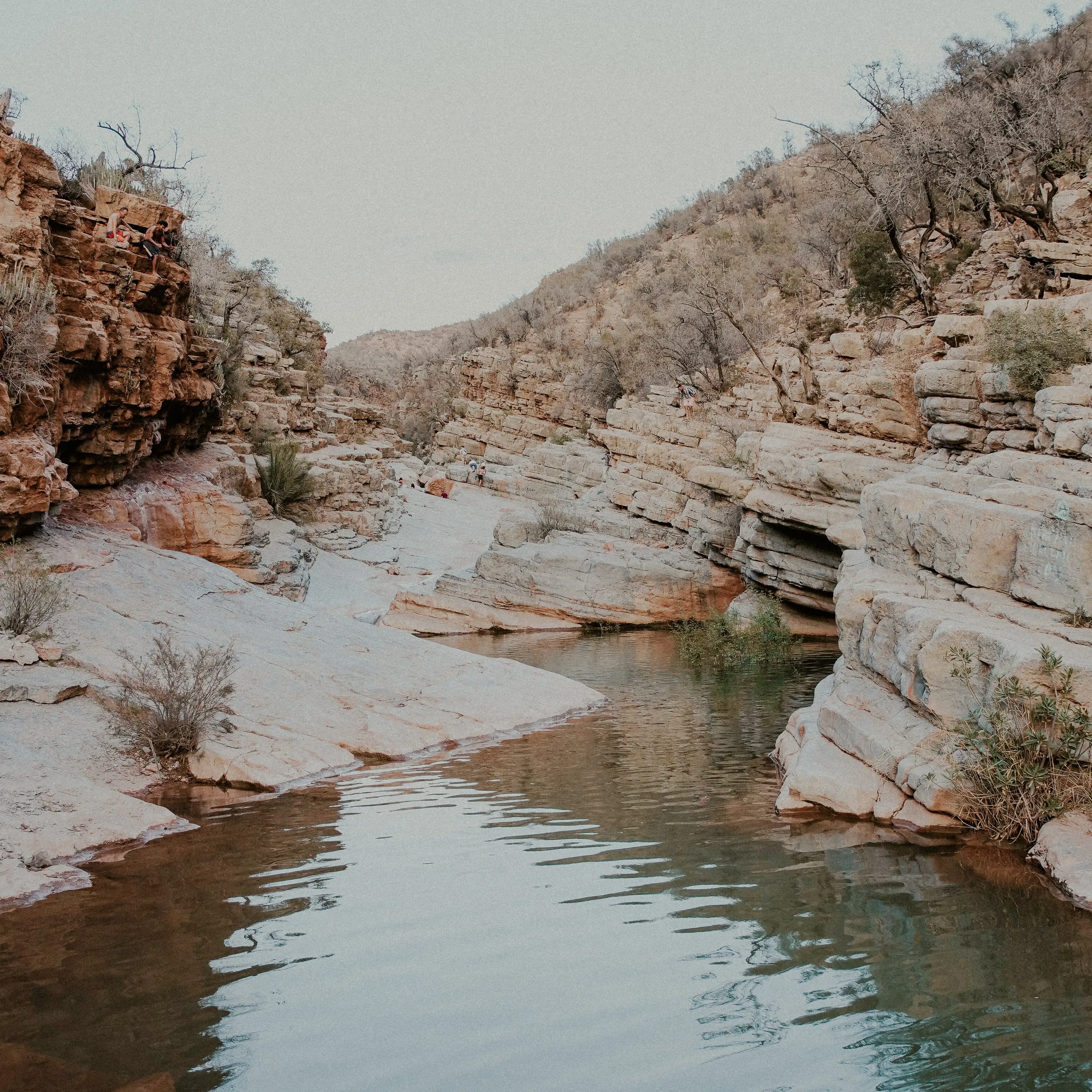 Paradise Valley activity